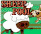 Sheep Pool