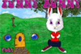 Funny Bunny : Jeu D
