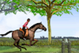 Horse Jumping : Course D'équitation