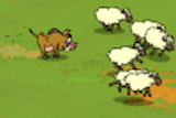 Jeux D'animaux : Les Moutons